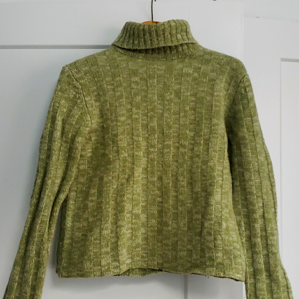 Wool Express Turtleneck Sweater